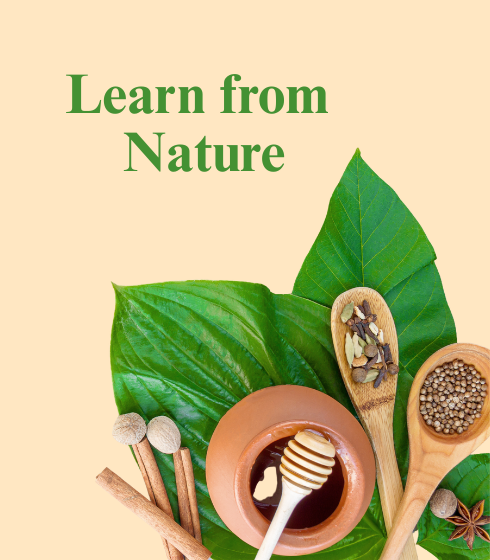Learn-from-Nature.png